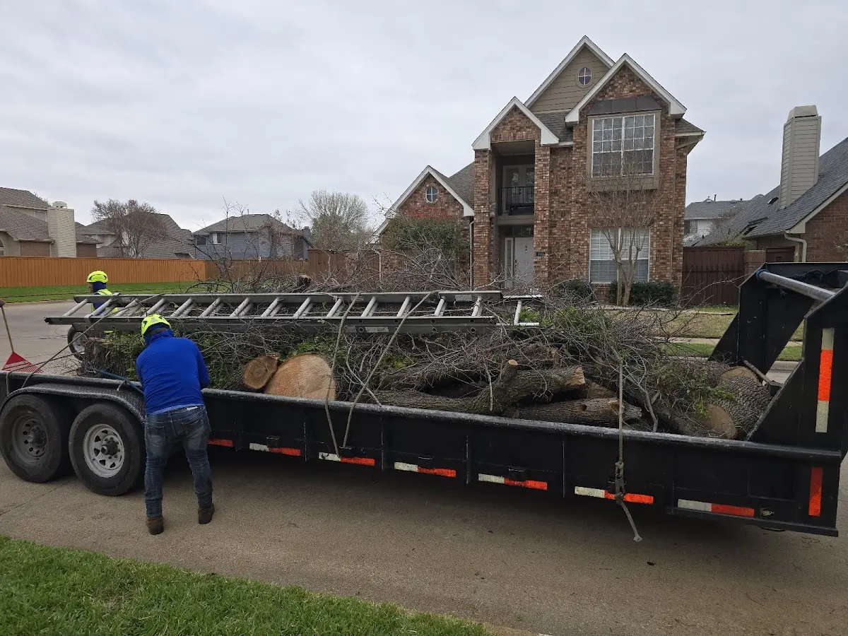 Expert Lot Clearing with proper safety equipment in Everetts